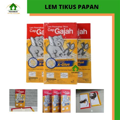 Jual Tokopadaberkah Lem Perangkap Tikus Cap Gajah Papan Trap Siap