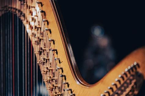 All Types Of Harps Uses Features Examples