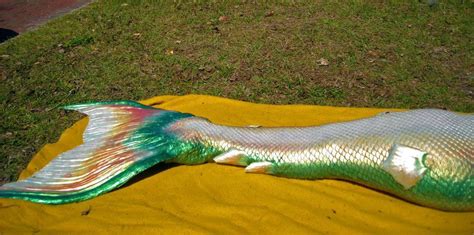 Tail Creator Mermaid Raven Of Merbella Studios Mermaid Tails For