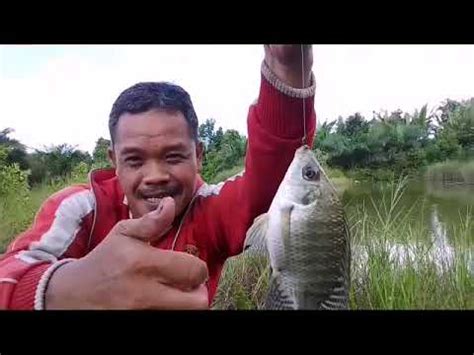 Mancing Disini Ga Pkai Lama Langsung Dapat Yang Cukup Memuaskan