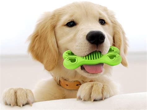 LUKITO Puppy Chew Toys Pack: $14 Toy Pack for Teething Puppies