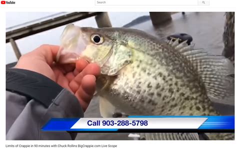 Limits Of Crappie In 90 Minutes Video With Chuck Rollins Fishing Guide