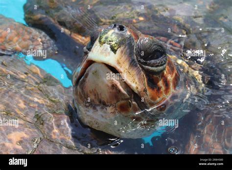 Salvador de Bahia - Brazil Stock Photo - Alamy