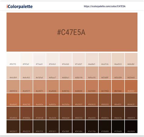 Pantone 16 1325 Tcx Copper Color Hex Color Code C47e5a Information