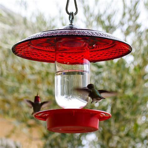 Hummingbird Feeder - Etsy