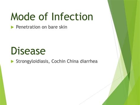 Strongyloides Stercoralis Ppt