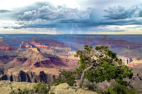 Powell Point Photograph by Joe Kopp - Fine Art America