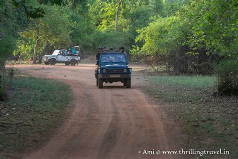 Waghoba Eco Lodge By Pugdundee Safaris In Tadoba Thrilling Travel