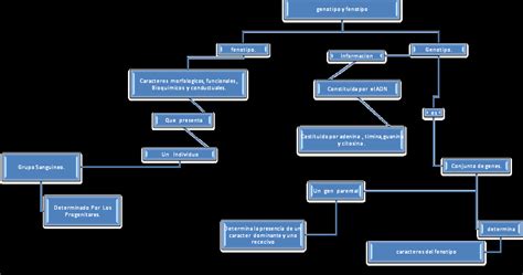 Genetica I : Fenotipo & Genotipo