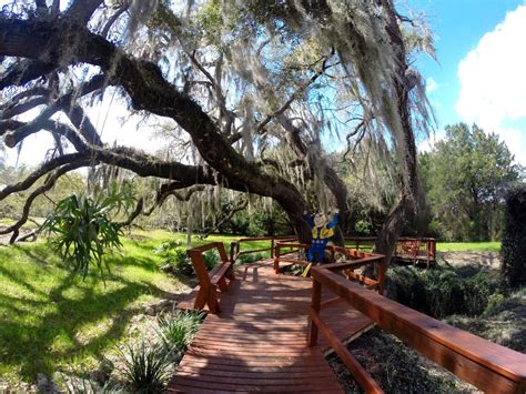 Devils Den The Coolest Cavern And Fresh Water Spring In Florida