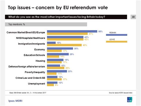 Brexit And Nhs Remain The Key Issues But The Emphasis Varies By Eu