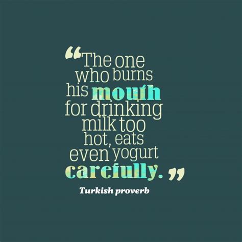 53 Best Quotes By Turkish Proverb Proverbs Quotes Indian Quotes