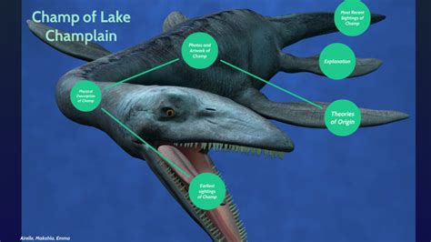 Tanystropheus Champ