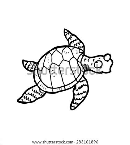 Doodle Sea Sketchy Turtle Stock Photos Images Pictures Shutterstock