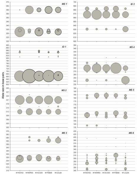 2 Distribution Of Allele Sizes And Frequencies Across Eight Molecular