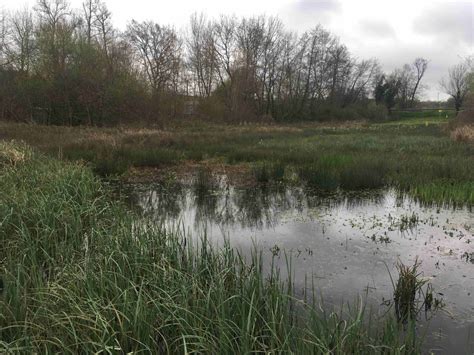 Qu Est Ce Qu Une Zone Humide SMBI Bassin Isle Fr