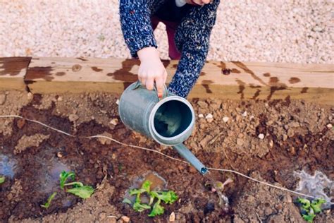 Fille Utilisant Un Arrosoir Pour Cultiver Un Jardin Dans Son Cole