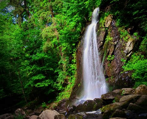 Fotos gratis paisaje árbol naturaleza bosque cascada selva