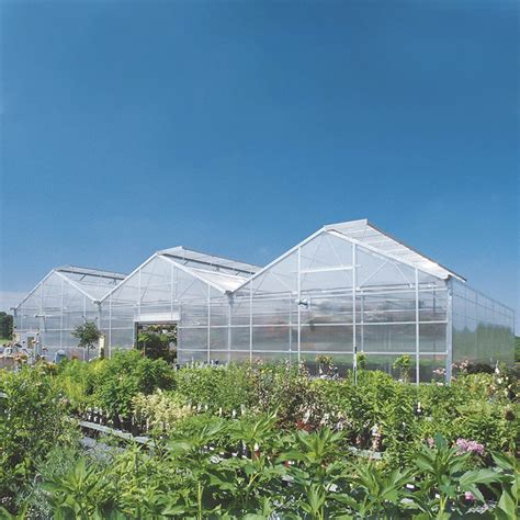 Venlo Commercial Multi Span Steel Structure Polycarbonate Sheet Greenhouse