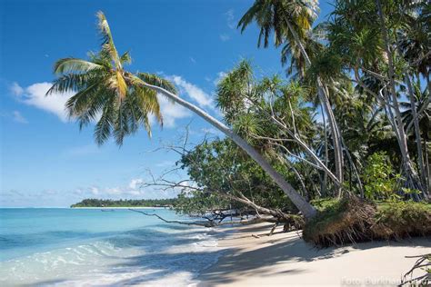 Awera Island Toska Mentawai