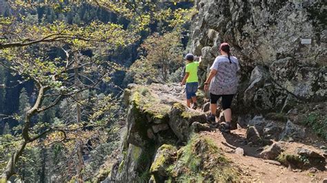 Sentier Des Roches Der Felsenpfad In Den Vogesen Wanderung