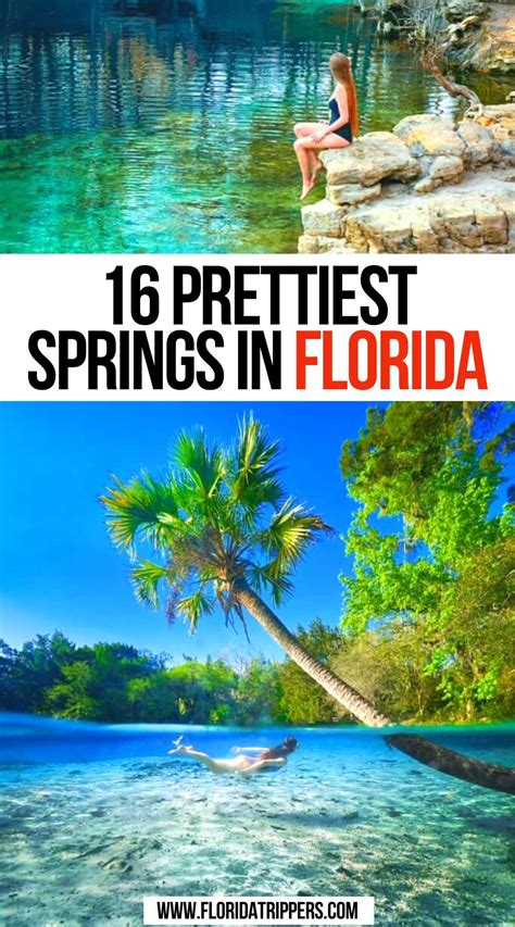 16 Best Natural Springs In Florida You Must Visit Artofit