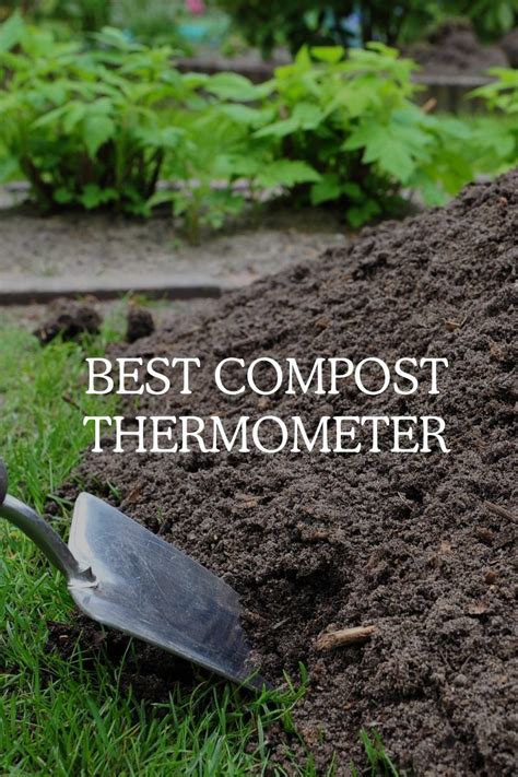 Best Compost Thermometer In 2022 Reviews And Comparison LaptrinhX