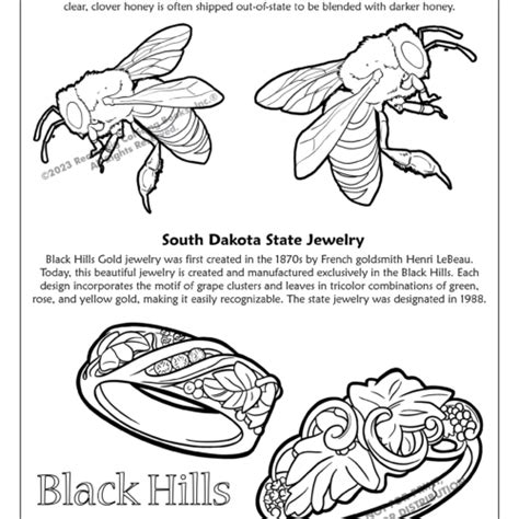 South Dakota State Coloring Book 8.5 x 11