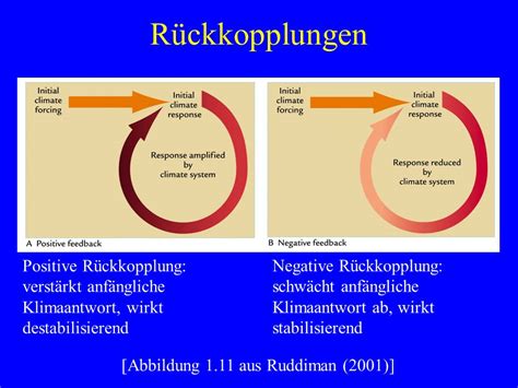 Diagramm Der Positiven Rückkopplungsschleife