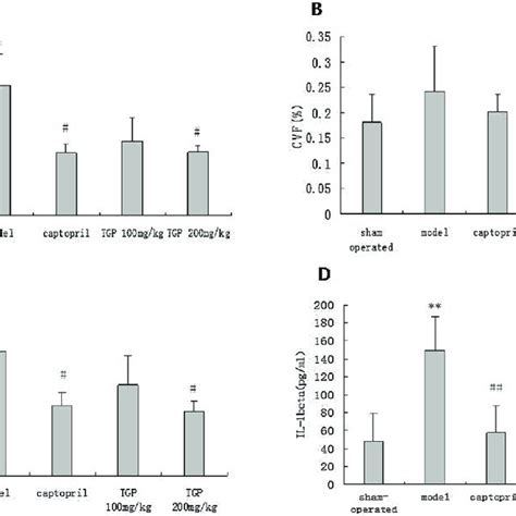 A Effects Of Tgp On Cardiac Collagen In The Interstitial Space Of The