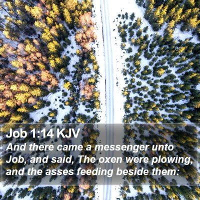 Job 1 Scripture Images Job Chapter 1 KJV Bible Verse Pictures