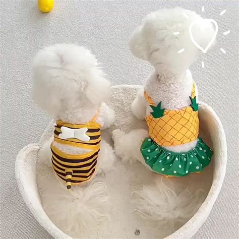 พรอมสง เดรสบกน BIKINI สดนารก งานแบรนด for ชดสนข