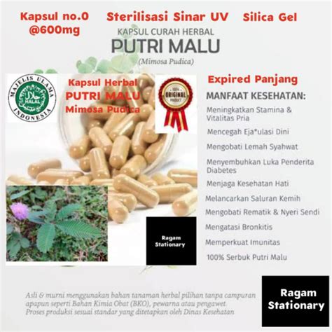 Jual Kapsul Bubuk Putri Malu Herbal Jamu Obat Curah Butir Shopee