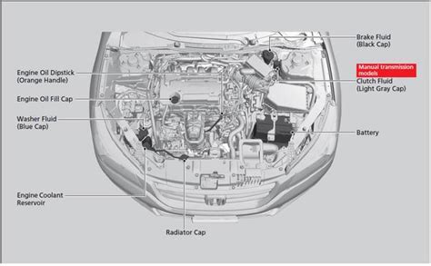 Honda Accord Under The Hood Diagram