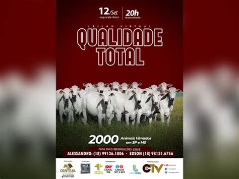 LEILÃO VIRTUAL QUALIDADE TOTAL YouTube