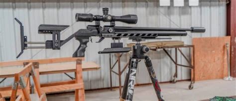 5 Best Air Rifles For Plinking And Hunting All Budgets