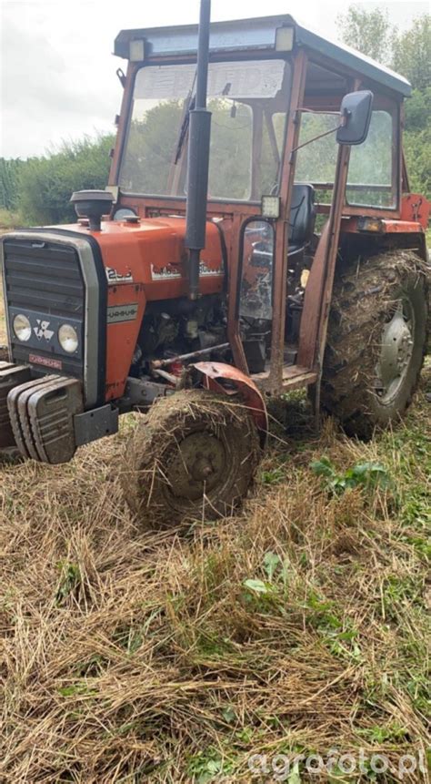 Foto Ciągnik Massey Ferguson Id 832287 Galeria Rolnicza Agrofoto