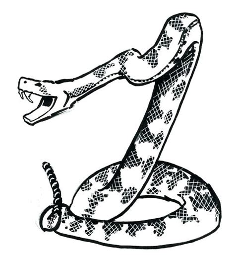 Diamondback Rattlesnake Coloring Page At Free