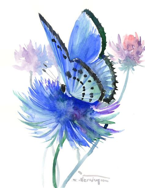 Blue Butterfly Watercolor Painting Watercolor Painting