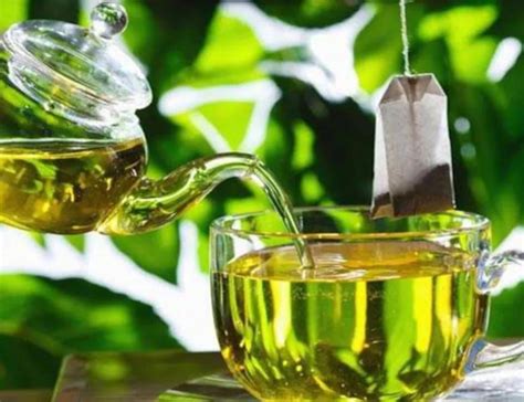 ग्रीन टी पीने के फायदे Benefits Of Green Tea Hindi Gupsup