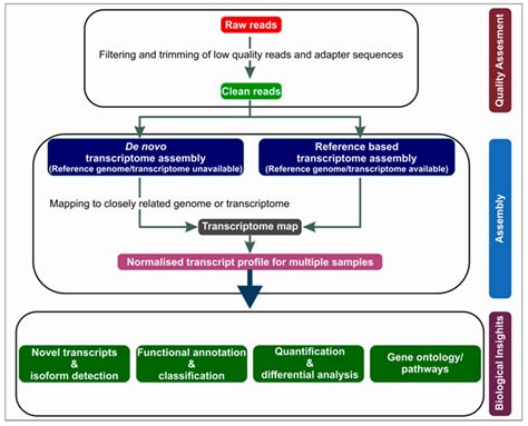 Transcriptome Analysis & Applications | RNA Seq Data Analysis | Next ...