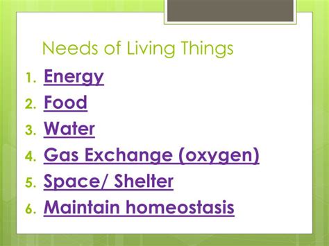 Ppt The Characteristics Of Living Things Powerpoint Presentation Id