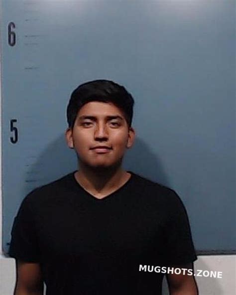 Sanchez Perez Josmar 09 06 2022 Taylor County Mugshots Zone