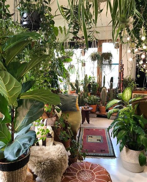 Pin By Barbara B On Jungalows Room With Plants House Plants Indoor