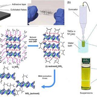 Schematics Showing WS2 Film Preparation By A Mechanical Stripping