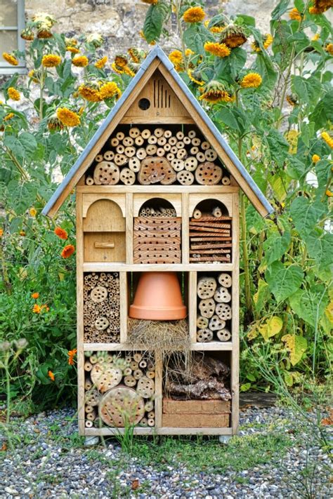 I Bug Hotel Le Case Per Gli Insetti Utili