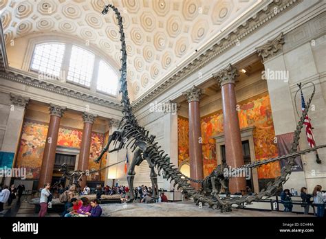 Dinosaur skeleton, Metropolitan Museum of Art, Manhattan, New York ...