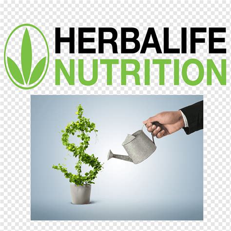 Arriba 107 Imagen Club De Nutricion Herbalife Guadalajara Abzlocal Mx