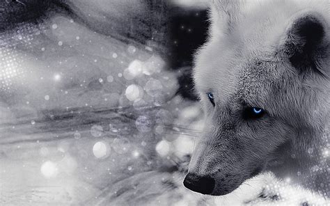 Free Wallpapers Wolves - Wallpaper Cave