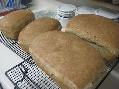 Safely Gathered In: Another Whole Wheat Bread in a mixer Recipe